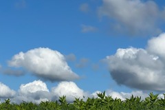 DI-F_2301_835610-Wolkenspiel-Hofner_Veronika-SB DI-F_2301_835610-Wolkenspiel-Hofner_Veronika-SB