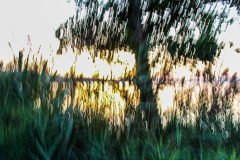DI-F_2301_851507-abstrakt-Inderbitzin_Heiri-LZ