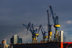 DI-P_2301_281707-Hafenkraene_von_Hamburg-Wiederkehr_Tiziana-LZ DI-P_2301_281707-Hafenkraene_von_Hamburg-Wiederkehr_Tiziana-LZ