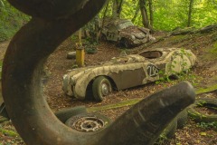 FB-P_2301_683205-Hacken-Kuonen_Oliver-BR