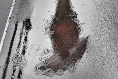DI-F_2401_218010-Wasserlache-Lipuner_Hans-SB