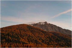 DI-F_2401_468501-Engadiner_Herbst-Eckard_Peter-BS DI-F_2401_468501-Engadiner_Herbst-Eckard_Peter-BS