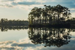 DI-F_2401_553005-Spiegelung-Bregy_Claudia-BR DI-F_2401_553005-Spiegelung-Bregy_Claudia-BR