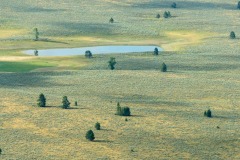 DI-F_2401_641201-Cow_Lake-Paulus_Alexander-BS DI-F_2401_641201-Cow_Lake-Paulus_Alexander-BS