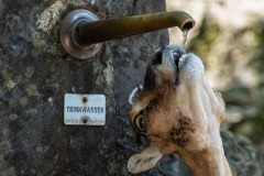 DI-P_2401_716302-Trinkwasser-Stoeckli_Manuel-BE DI-P_2401_716302-Trinkwasser-Stoeckli_Manuel-BE