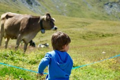 DI-P_2401_674201-Kuh_und_Kind-Schaller_Thomas-BS DI-P_2401_674201-Kuh_und_Kind-Schaller_Thomas-BS