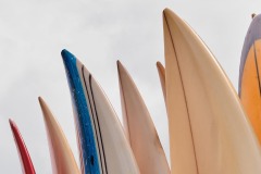 FB-F_2401_143401-Surfboards-Cappellini_Luca-BS FB-F_2401_143401-Surfboards-Cappellini_Luca-BS