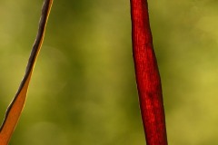 FB-F_2401_241105-Herbstblick-Nanzer_Annelis-BR FB-F_2401_241105-Herbstblick-Nanzer_Annelis-BR