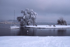 FB-F_2401_182801-Winter_Insel-Schaller_Thomas-BS FB-F_2401_182801-Winter_Insel-Schaller_Thomas-BS
