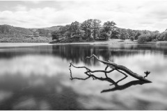 SW-F_2401_287001-Derwent-Vogt_Sabine-BS SW-F_2401_287001-Derwent-Vogt_Sabine-BS