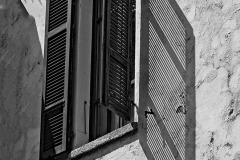 SW-F_2401_829310-Schatten-Vogt_Karl-SB