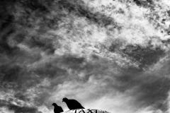 SW-P_2401_563101-Warten-aufs_Taxi-Schaub_Adrian-BS SW-P_2401_563101-Warten-aufs_Taxi-Schaub_Adrian-BS