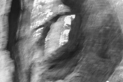 SW-P_2401_361107-Schemenhafter_Baer-Schlaufer_Peter-LZ