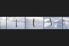 BE-XF-LK3-Zaunpfosten-Stoeckli_Manuel-0 BE-XF-LK3-Zaunpfosten-Stoeckli_Manuel-0