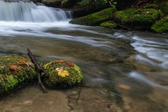 DI-F_2501_433009-Herbstlich-Boeni_Heinz-RH