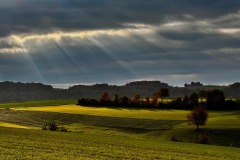 DI-F_2501_600808-Fricktal-Baumann_Manfred-OL