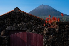 DI-F_2501_843702-Pico-Stoeckli_Manuel-BE
