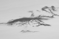 DI-F_2501_532405-Wolke-Kindler_Paul-BR