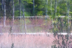 DI-F_2501_406301-Wege-Kaufmann_Renata-BS