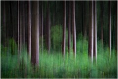 DI-F_2501_262601-Waldbad-Vogt_Sabine-BS-Silber
