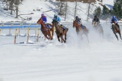 DI-P_2501_367702-Galopp-Schmid_Mathias-BE
