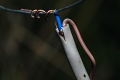 DI-P_2501_395007-Elektrische_Verbindung-Wiederkehr_Tiziana-LZ