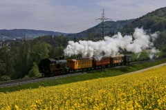 DI-P_2501_458920-Strom_Dampf_RapsOel-Baumann_Heinz-EM