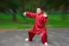DI-P_2501_896710-Kung_Fu-Battaglia_Robert-SB