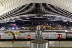 FB-F_2501_779802-Liege_Guillemins-Haltinner_Ralph-BE