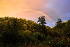 FB-F_2501_293807-Regenbogen-Amstutz_Karl-LZ FB-F_2501_293807-Regenbogen-Amstutz_Karl-LZ