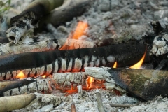 FB-P_2501_887307-Feuer-Windlin_Ursula-LZ