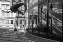 SW-F_2501_330302-Berlin-Haltinner_Ralph-BE