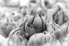SW-F_2501_128409-Knoblauch-Studerus_Marianne-RH