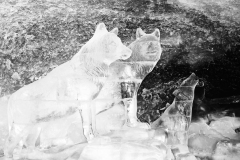SW-F_2501_467207-Eisfiguren-Odermatt_Karl-LZ