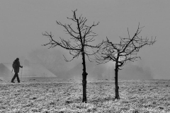 SW-F_2501_948808-Wanderfreund-Baumann_Manfred-OL