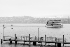 SW-F_2501_669301-Zuerisee-Wyser_Thomas-BS SW-F_2501_669301-Zuerisee-Wyser_Thomas-BS