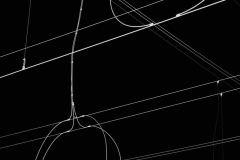 SW-P_2501_357810-Powerlines-Ingber_Udo-SB