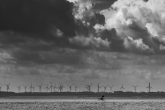 SW-P_2501_743301-Tanz_der_Wolken_und_Raeder-Hofer_Beatrice-BS