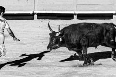 SW-P_2501_799401-Stay-Schaub_Adrian-BS