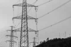 SW-P_2501_753702-Power_Grid-Sellschopp_Ursula-BE