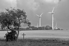 SW-P_2501_834602-Kreuzwind-Maier_Rene-BE