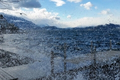 SW-P_2501_818009-Sturm_am_Zugersee-Ruefer_Sibylla-RH SW-P_2501_818009-Sturm_am_Zugersee-Ruefer_Sibylla-RH