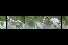 BE-XF-LK3-Uferspiegelung-Maier_Rene-0