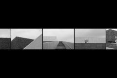 SB-XF-LK3-Alone-Ingber_Udo-0
