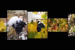 BR-XF-LK4-Eiswein-Sermier_Richard-0 BR-XF-LK4-Eiswein-Sermier_Richard-0