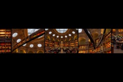 BS-XF-LK1-Bronze-Bibliotheque_Nationale-Paulus_Alexander-0