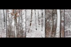 BS-XF-LK1-Snowlines-Schwarz_Margrit-0