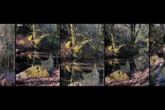 BE-XF-LK4-Naturschutzgebiet_Arth_Goldau-Zurbruegg_Urs-0 BE-XF-LK4-Naturschutzgebiet_Arth_Goldau-Zurbruegg_Urs-0