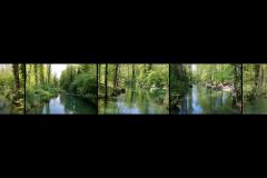 BE-XF-LK4-alte_Aare_Aarberg-Zurbruegg_Urs-0 BE-XF-LK4-alte_Aare_Aarberg-Zurbruegg_Urs-0