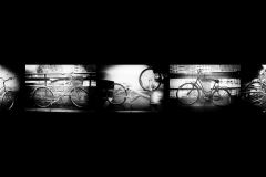 SB-XF-LK4-Bicicletta-Lippuner_Doris-0 SB-XF-LK4-Bicicletta-Lippuner_Doris-0